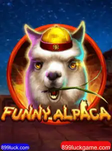 Descubra o Mundo Divertido de FunnyAlpaca